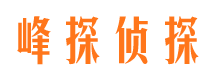 朝天峰探私家侦探公司